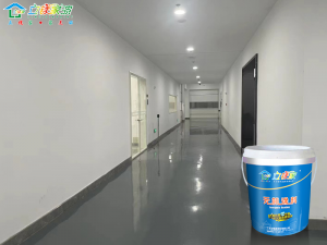 立镁家无机涂料，让墙面成为家的